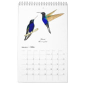 Hummingbird Calendar Kalender (Jan 2026)