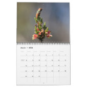 Hummingbird Calendar Kalender (Mar 2026)
