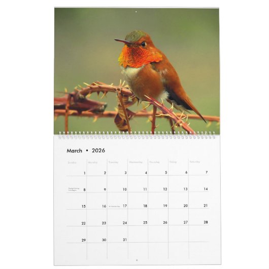 Hummingbird Calendar Kalender (Mar 2026)