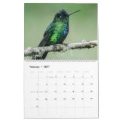 Hummingbird Calendar Kalender (Feb 2027)