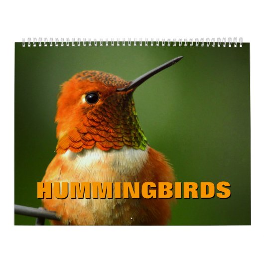 Hummingbird Calendar Kalender (Hoes)