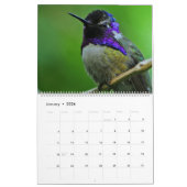 Hummingbird Calendar Kalender (Jan 2026)