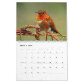 Hummingbird Calendar Kalender (Mar 2027)