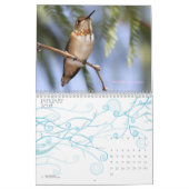Hummingbird Calendar Kalender (Jan 2027)