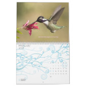 Hummingbird Calendar Kalender (Feb 2027)