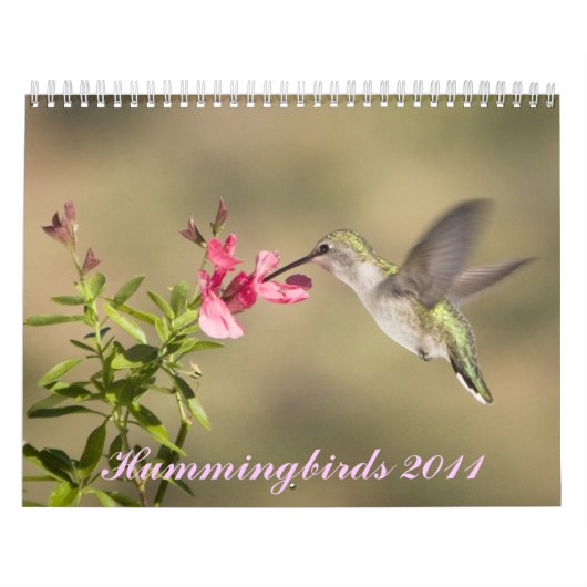 Hummingbird Calendar Kalender (Hoes)