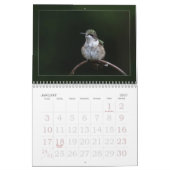 Hummingbird Calendar Kalender (Jan 2027)