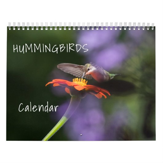 Hummingbird Calendar Kalender (Hoes)