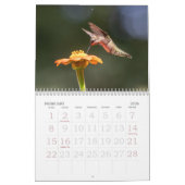 Hummingbird Calendar Kalender (Feb 2026)