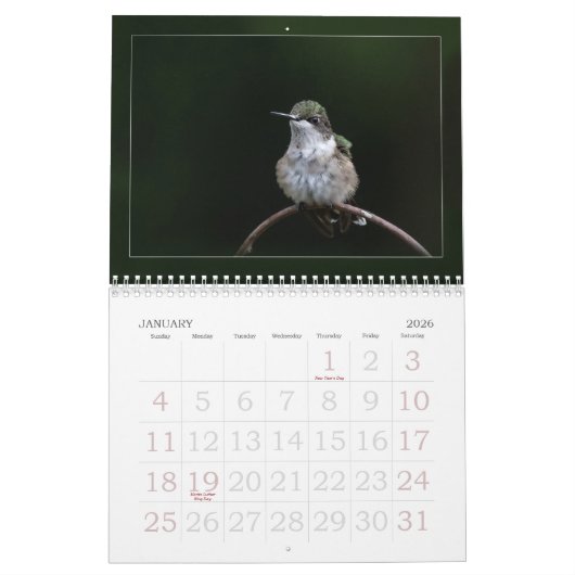 Hummingbird Calendar Kalender (Jan 2026)