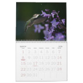 Hummingbird Calendar Kalender (Mar 2026)