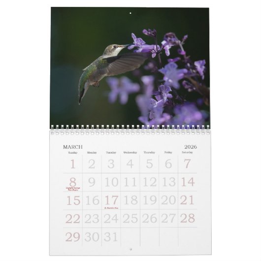 Hummingbird Calendar Kalender (Mar 2026)