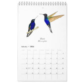 Hummingbird Calendar Kalender (Jan 2026)