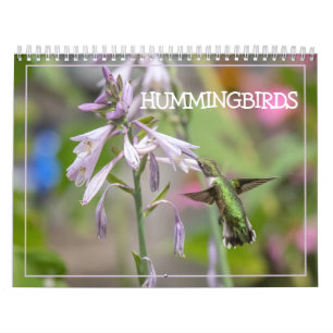 Hummingbird Calendar Kalender