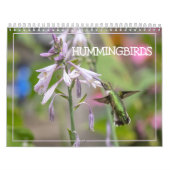 Hummingbird Calendar Kalender (Hoes)