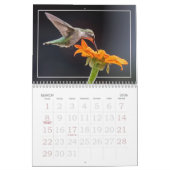 Hummingbird Calendar Kalender (Mar 2026)