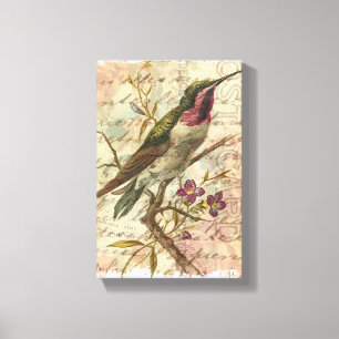 Hummingbird Canvas Afdruk