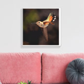 Hummingbird Canvas Print (Insitu (Woonkamer))