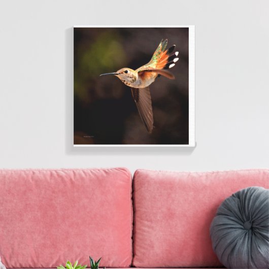 Hummingbird Canvas Print (Insitu (Woonkamer))