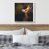 Hummingbird Canvas Print (Insitu (Slaapkamer))