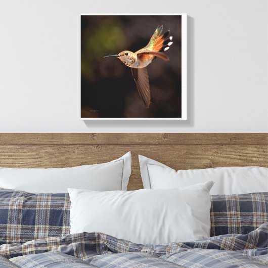 Hummingbird Canvas Print (Insitu (Slaapkamer))