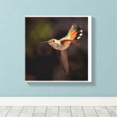 Hummingbird Canvas Print (Insitu (Houten vloer))