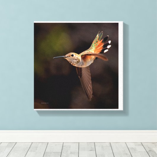 Hummingbird Canvas Print (Insitu (Houten vloer))