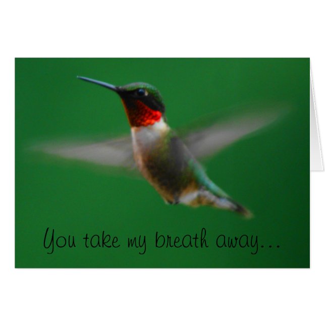 Hummingbird Card (Voorkant Horizontaal)