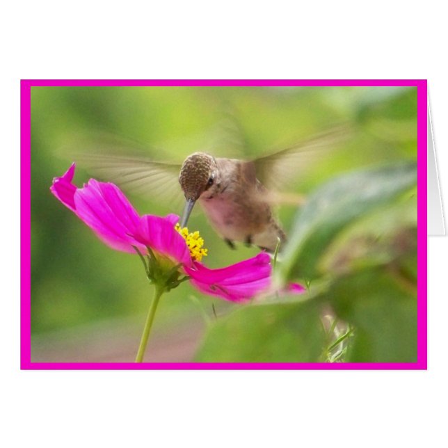 Hummingbird Card (Voorkant Horizontaal)