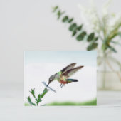Hummingbird Card Briefkaart (Staand voorkant)