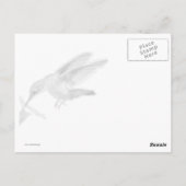 Hummingbird Card Briefkaart (Achterkant)