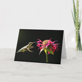 Hummingbird card Denking of you Kaart
