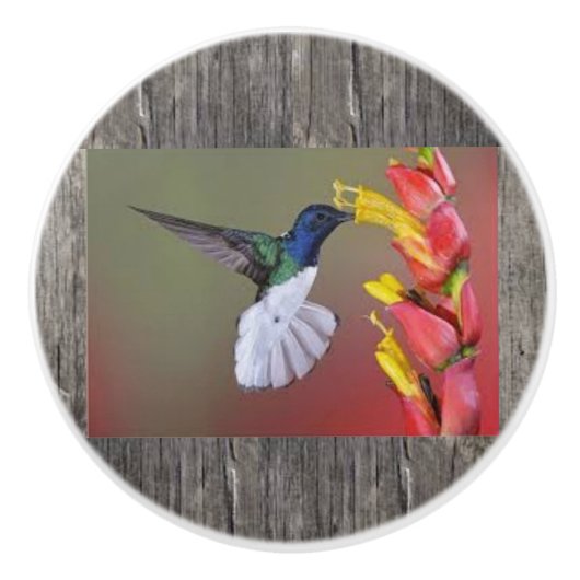 Hummingbird Ceramic Cabinent Knob and Pulls Keramische Knop (Voorkant)