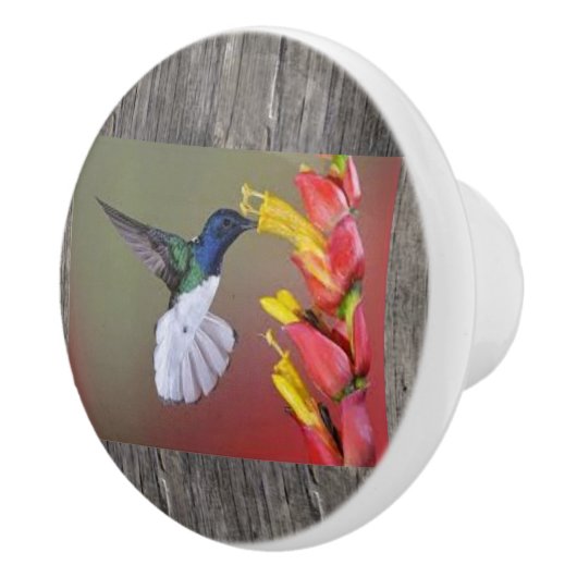 Hummingbird Ceramic Cabinent Knob and Pulls Keramische Knop (Rechts)