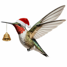 Hummingbird Christmas Ornament & bell decoration Fotobeeldje Ornament
