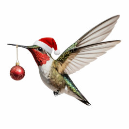 Hummingbird Christmas Ornament red tree decoration Fotobeeldje Ornament