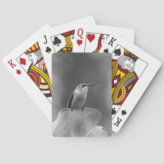 Hummingbird Classic Kaarten (Achterkant)