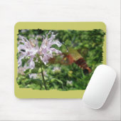 Hummingbird Clear Wing Moth Coordinating Items Muismat (Met muis)