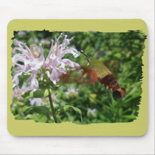 Hummingbird Clear Wing Moth Coordinating Items Muismat