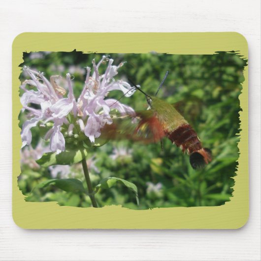 Hummingbird Clear Wing Moth Coordinating Items Muismat (Voorkant)