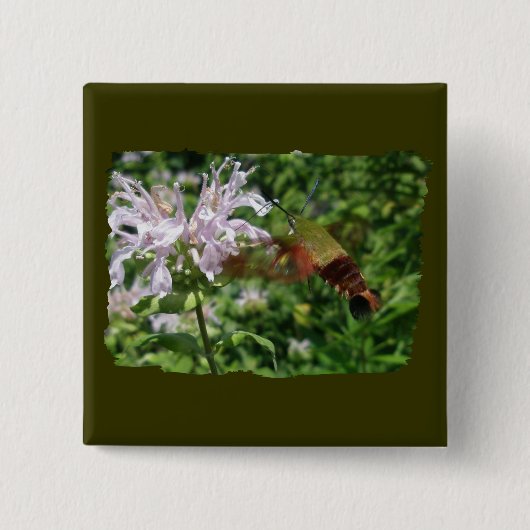 Hummingbird Clear Wing Moth Coordinating Items Vierkante Button 5,1 Cm (Voorkant)