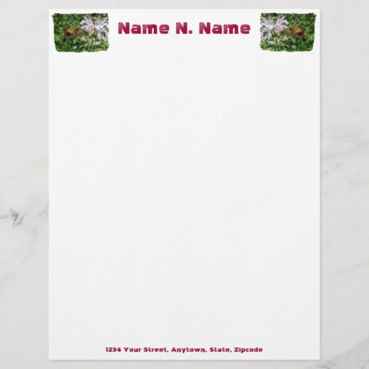 Hummingbird Clear Wing Moth Letterhead Gepersonaliseerd Briefhoofd (Voorkant)