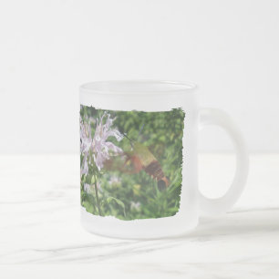 Hummingbird Clear Wing Moth op Monarda Matglas Koffiemok