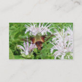 Hummingbird Clear Wing Moth Visitekaartje (Achterkant)