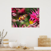Hummingbird Clearing & Bee Balm 2 Poster (Keuken)