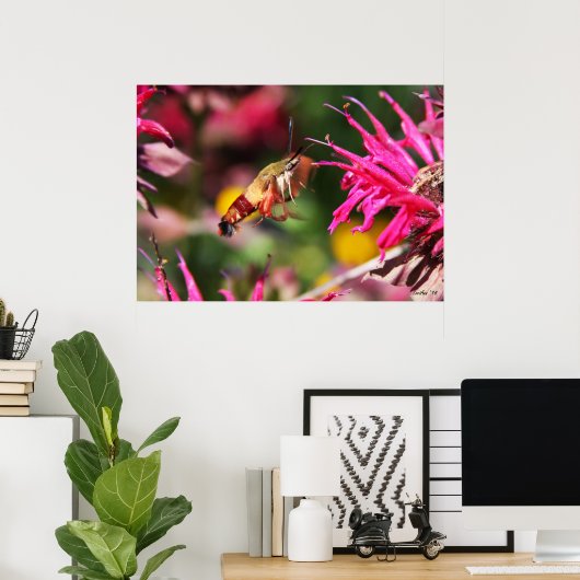 Hummingbird Clearing & Bee Balm 2 Poster (Thuiskantoor)