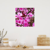 Hummingbird Clearing & Phlox 3 Poster (Keuken)