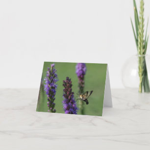 Hummingbird Clearwing Moth Blank Notecard Kaart