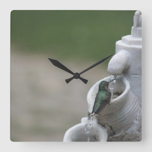 Hummingbird Clock Vierkante Klok