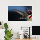 Hummingbird Close Up ~print~ Poster (Thuiskantoor)